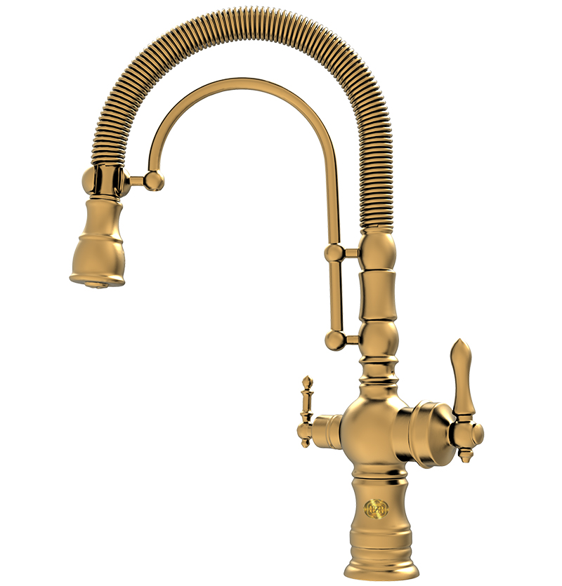 آشپزخانه شاوری رانیکا دو منظوره طلا مات